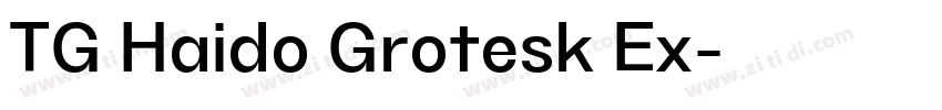 TG Haido Grotesk Ex字体转换